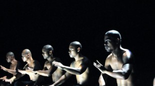 BirdsWithSkymirrors1